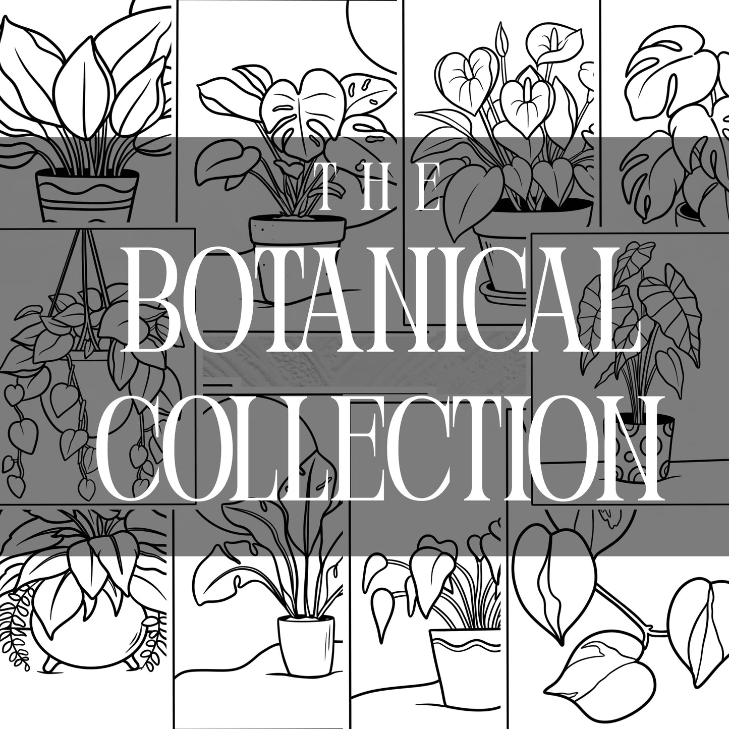 The Botanical Collection  • Digital Download Coloring Pages